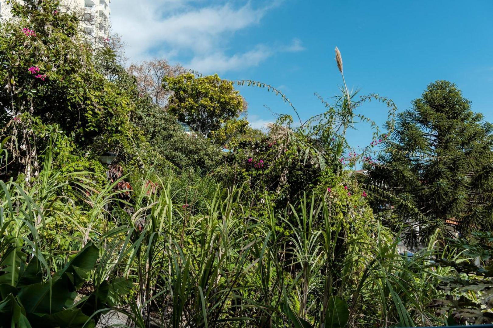 Ferienwohnung Guestready - Lido View Near The Beach Funchal  Exterior foto